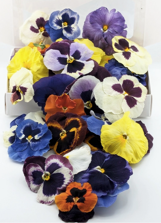 Freeze-Dried Edible Pansies