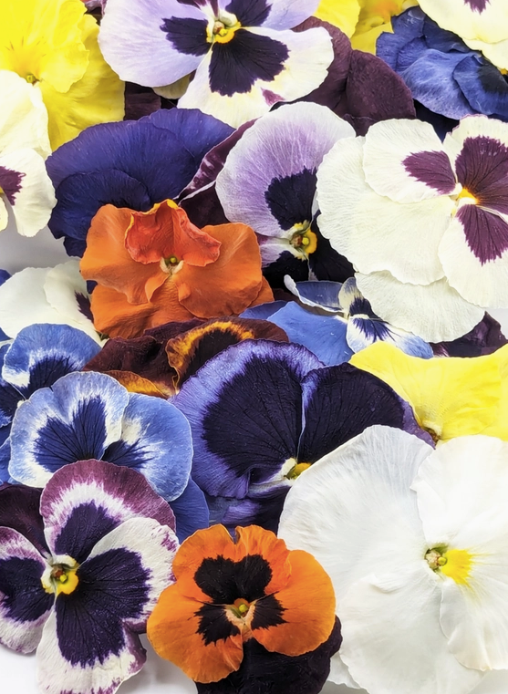 Freeze-Dried Edible Pansies