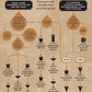 The Complete Cocktail Manual